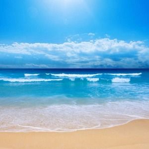 Meet your Posher, Rick